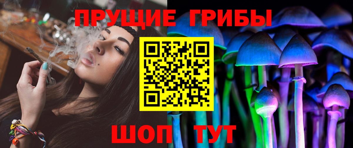 Псилоцибиновые грибы Cubensis  Вход с VPN  Шатура 
